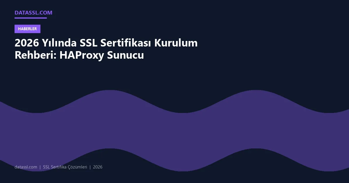 2026 Yılında SSL Sertifikası Kurulum Rehberi: HAProxy Sunucu