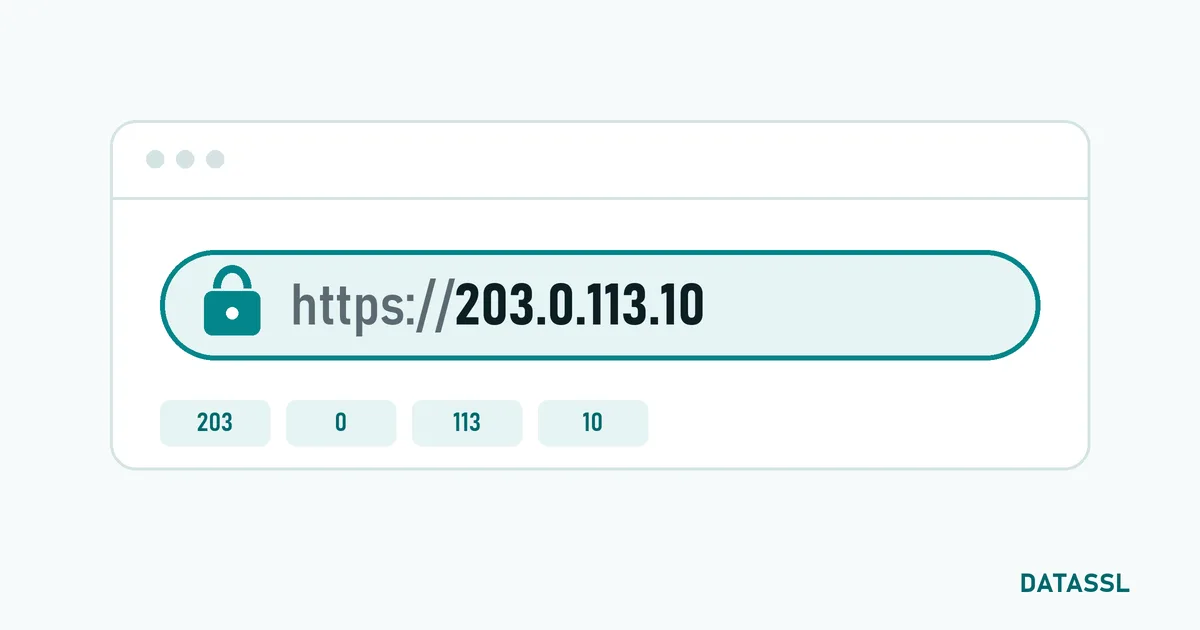 Adres çubuğunda kilit simgesiyle açılan bir IP adresi: https://203.0.113.10