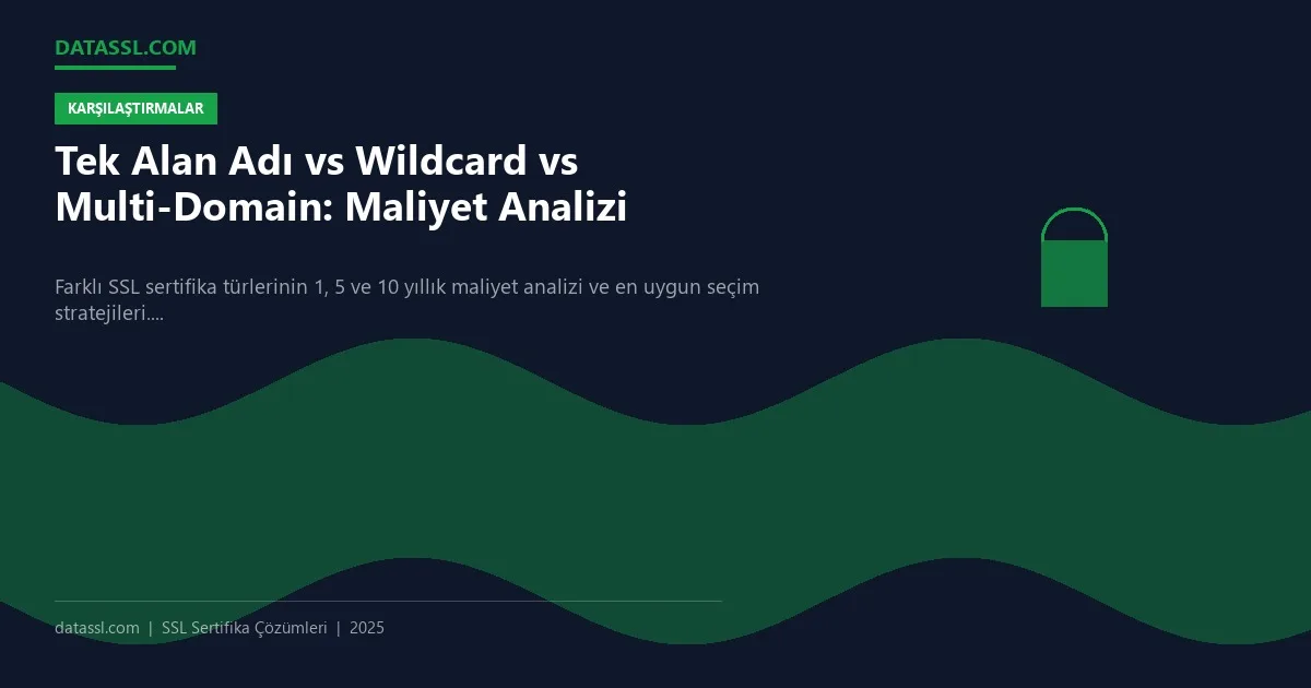 Tek Alan Adı vs Wildcard vs Multi-Domain: Maliyet Analizi