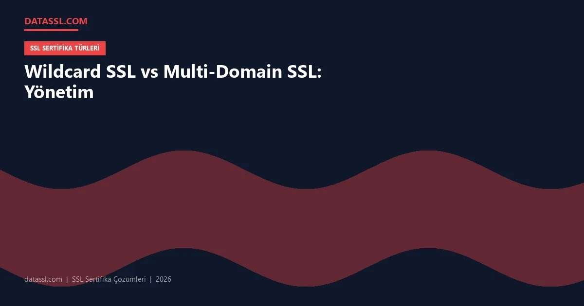 Wildcard SSL vs Multi-Domain SSL: Yönetim