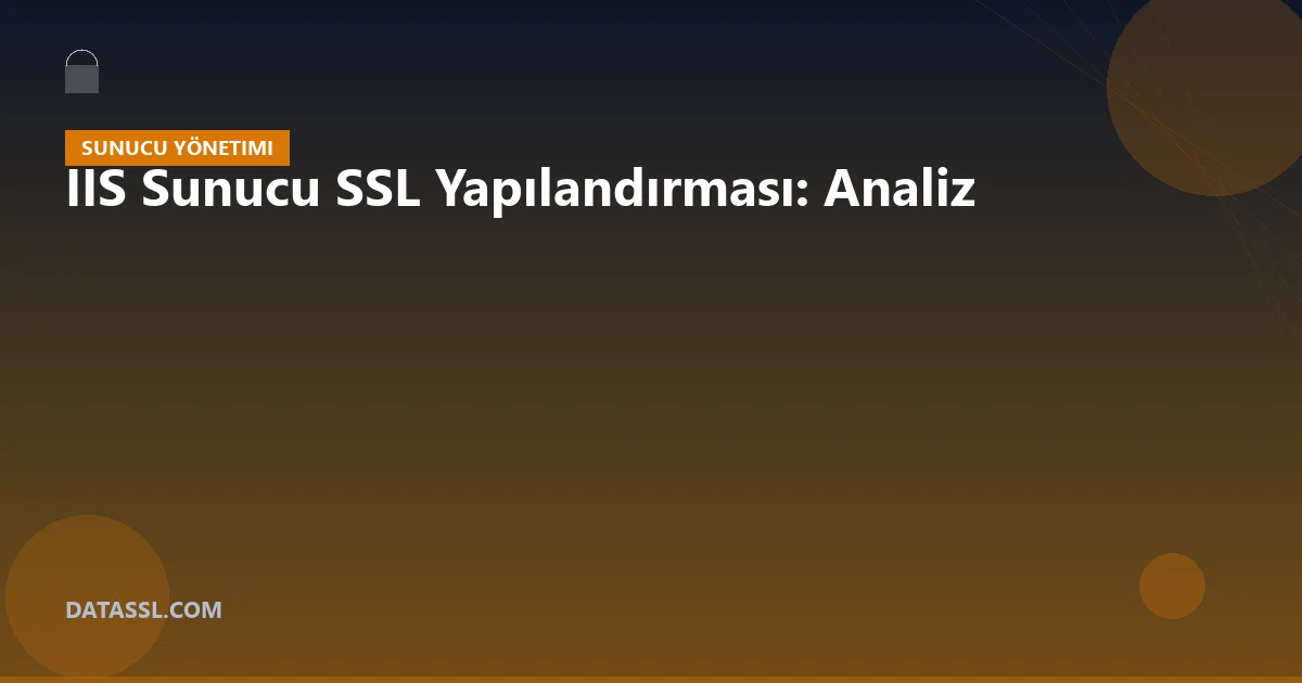 IIS Sunucu SSL Yapılandırması: Analiz