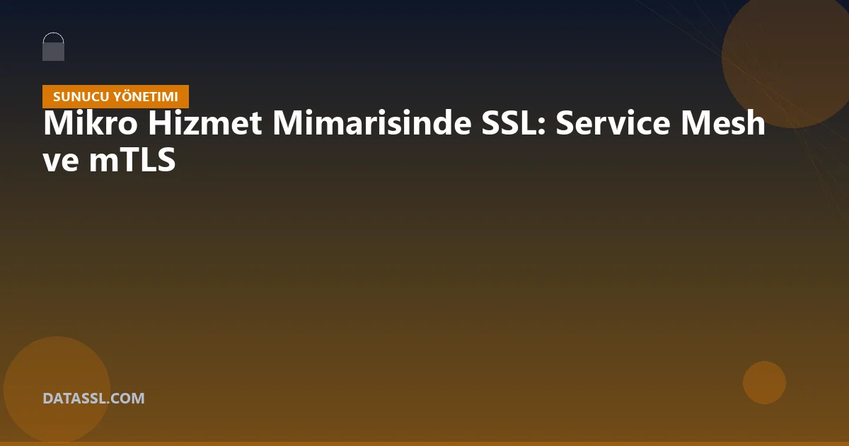 Mikro Hizmet Mimarisinde SSL: Service Mesh ve mTLS