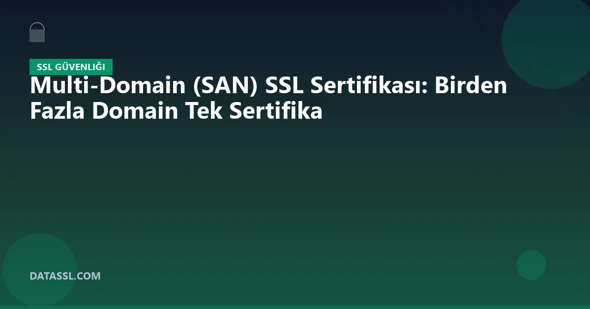 Multi-Domain (SAN) SSL Sertifikası: Birden Fazla Domain Tek Sertifika