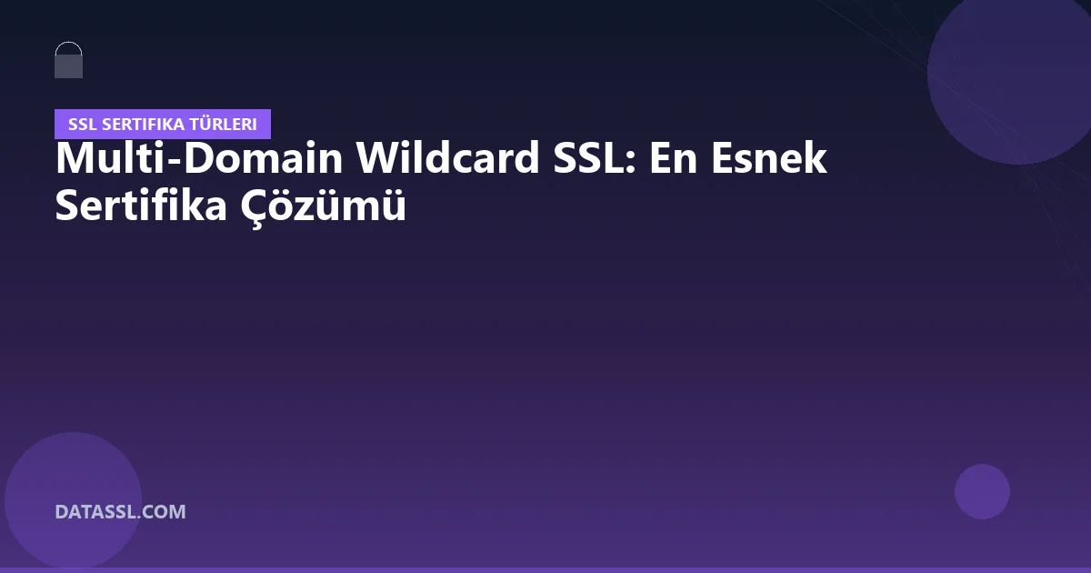 Multi-Domain Wildcard SSL: En Esnek Sertifika Çözümü