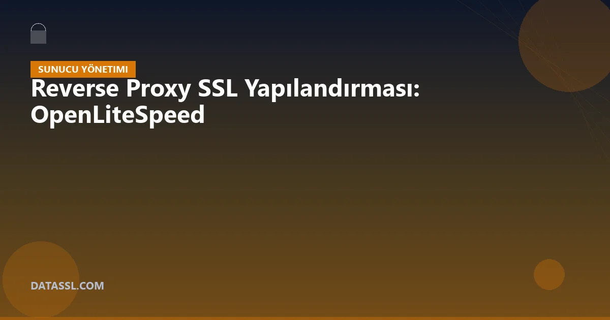 Reverse Proxy SSL Yapılandırması: OpenLiteSpeed