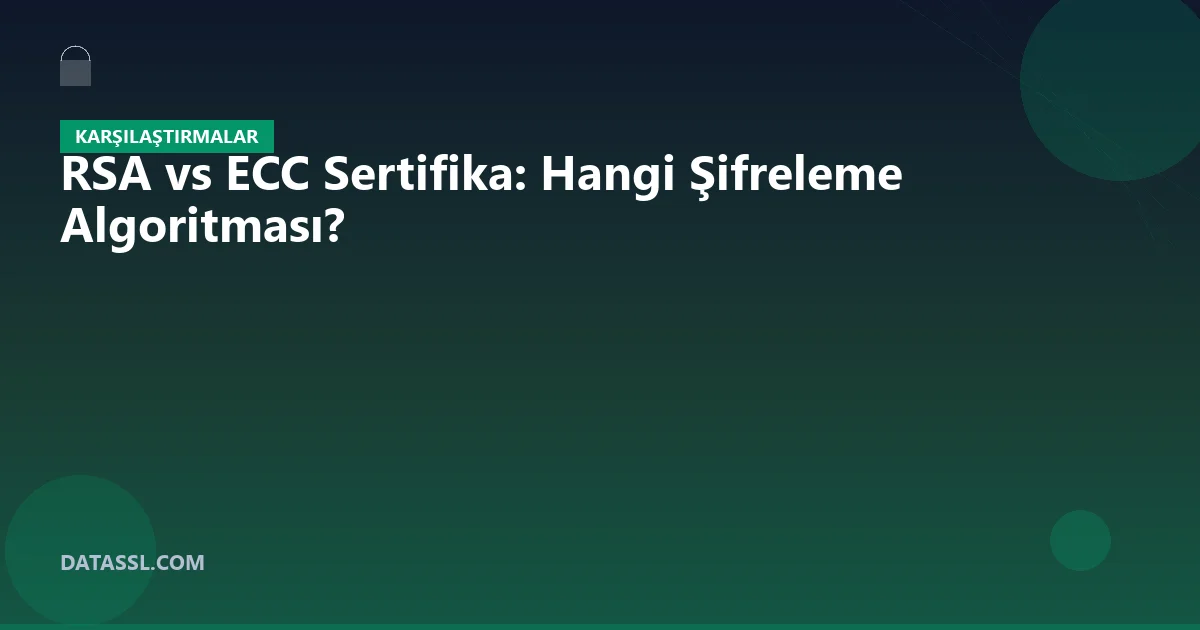 RSA vs ECC Sertifika: Hangi Şifreleme Algoritması?