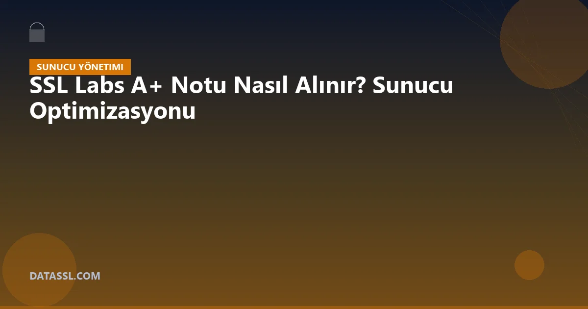 SSL Labs A+ Notu Nasıl Alınır? Sunucu Optimizasyonu