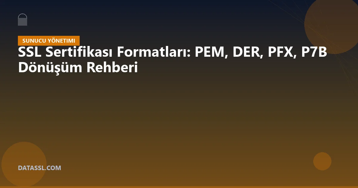 SSL Sertifikası Formatları: PEM, DER, PFX, P7B Dönüşüm Rehberi