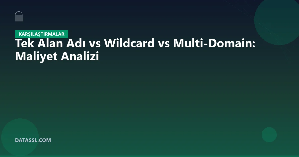 Tek Alan Adı vs Wildcard vs Multi-Domain: Maliyet Analizi